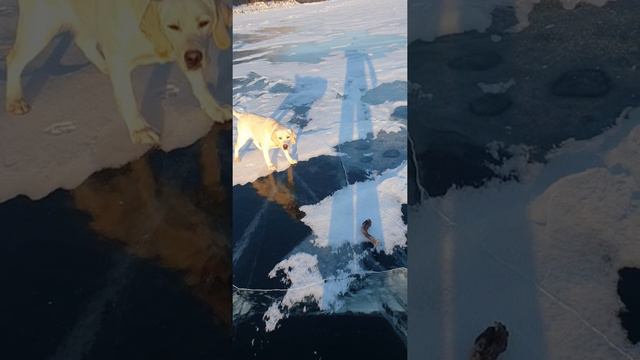 Страшный байкальский лёд. смотреть онлайн