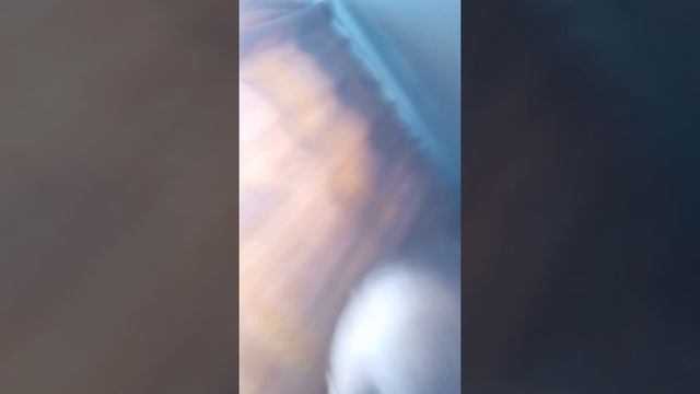 Мести смотреть онлайн