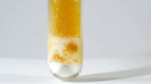 Окисление соединений серы азотной кислотой с объяснением окислительно-восстановительных потенциалов