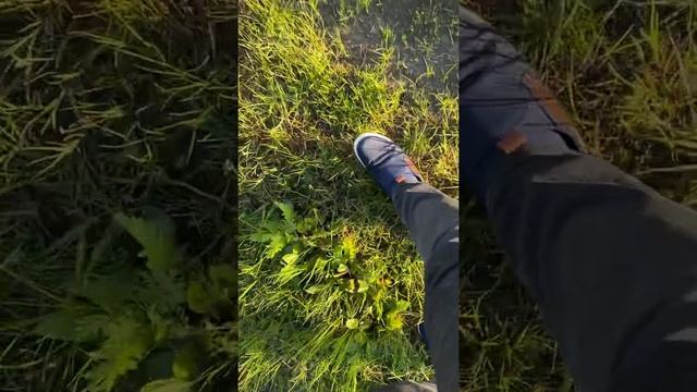 Храмы села Троицкое, река Ветлуга, Поветлужье