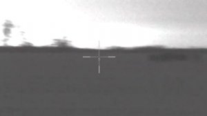Pulsar Digisight ULTRA N 455 LRF первая охота.
