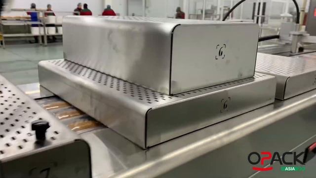 УПАКОВКА СЕНДВИЧЕЙ В ГАЗЕ НА ТЕРМОФОРМЕРЕ С АВТО. ДАТИРОВЩИКОМ LINX | OPACK QZ 1000 MAXI
