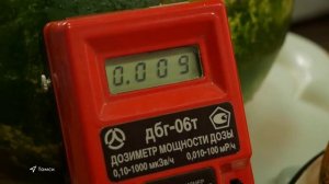 О фитосанитарном контроле при поступлении арбузов в Томскую область