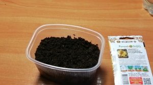 Посев семян Мимулюса на рассаду. Посев семян Мимулюса. Часть 1.