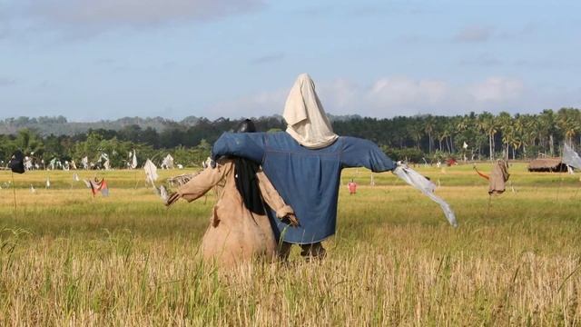 Creepypasta: The Scarecrow Game (Reddit) смотреть онлайн