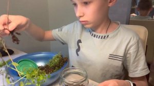 делаю ТЕРРАРИУМ своими руками/ декор