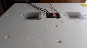 Инкубация гусиных яйц /Самый простой режим Без заморочек и таблиц