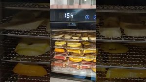 Сушилка для овощей и фруктов Kitfort KT-1911