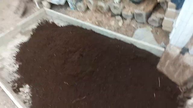 Шылаушан өсірудегі екі бағыт. смотреть онлайн