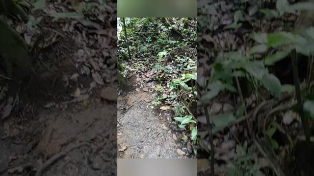 Водопад Ель Лимон #доминиканскаяреспублика