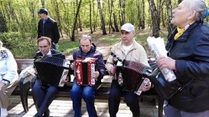 Парк Кузьминки песни под гармонь. Наши любимые Гармонисты Владимир Юрий Владимир 01.05.2019