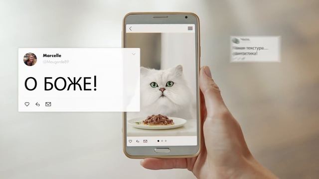 Purina Gourmet Perle Filee RUS смотреть онлайн