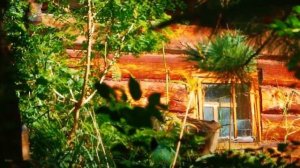 Агафья Лыкова. Как отшельники добывали пищу