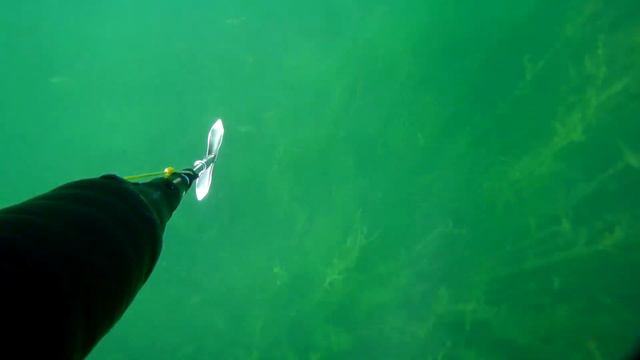 Подводная охота в Караганде. Выходной. смотреть онлайн