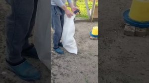 @Ливенская Ситцевая