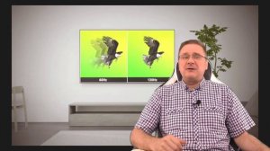 Как выбрать и настроить телевизор для игр