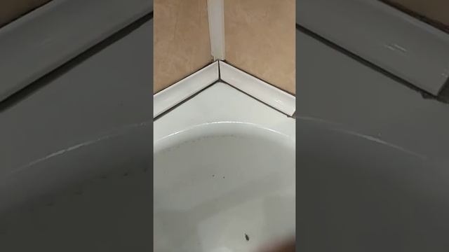 Как начать делать керамический плинтус(уголок).Часть 1 смотреть онлайн