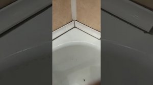 Как начать делать керамический плинтус(уголок).Часть 1