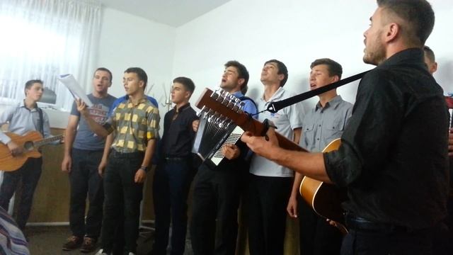 Посмотри на стаю Журавлей смотреть онлайн