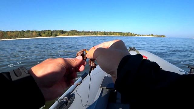 ВОТ ЭТО ВЕЧЁРКА! СОМЫ НА ВЫПОЛЗКА КЛЮЮТ ТОЛЬКО ОПУСКАЙ! Ловля сома на квок. Рыбалка на сома 2023 смотреть онлайн