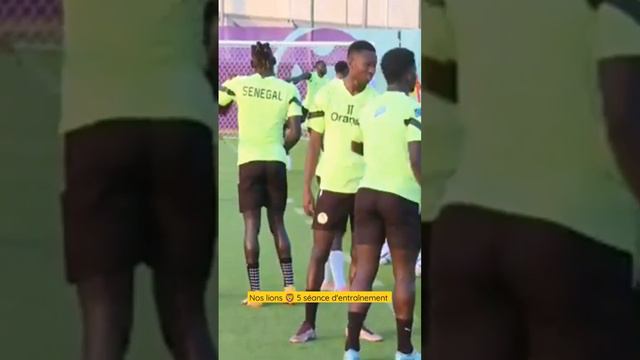 préparation coupe du monde séance d'entraînement des lions 🦁notre abdou diallo 🇸🇳😂😂😂😂