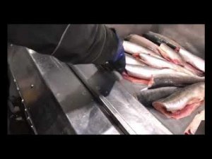 Baader 187 Филетировочная машина для разделки рыбы