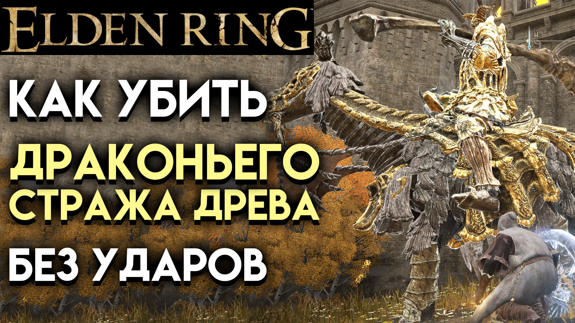 ELDEN RING КАК ПОБЕДИТЬ ДРАКОНЬЕГО СТРАЖА ДРЕВА БЕЗ УДАРОВ