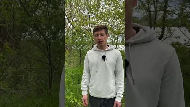 Сергей Есенин - Исповедь Хулигана. Читает - Антон Зубков смотреть онлайн