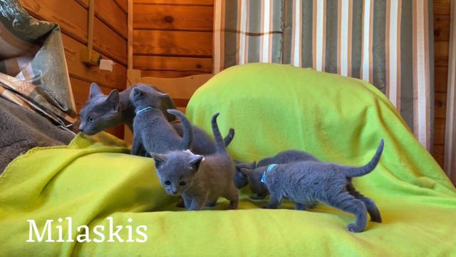 27 февраля 2024 г. смотреть онлайн