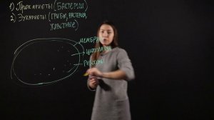 Биология 6 класс: Строение клетки. Прокариоты