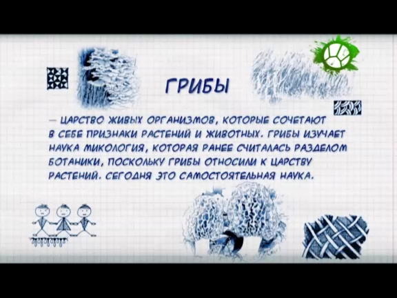 Природоведение. Грибы