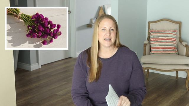 Cut Flower Seed Collection  Grow Along!!  Sunshine  Flora