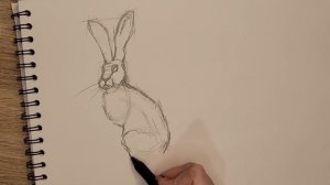 HOW TO DRAW HARE!!!  КАК НАРИСОВАТЬ ЗАЙЦА!!!