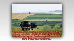 Путешествие по Грузии. Места, которые стоит посетить