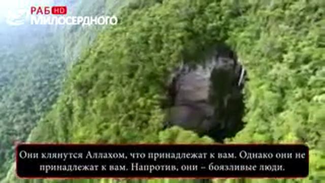 Коран о лицемерах ᴴᴰ low