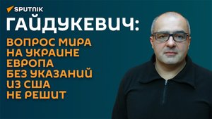 Гайдукевич: Европа ждет команды из Белого дома о мирных переговорах на Украине
