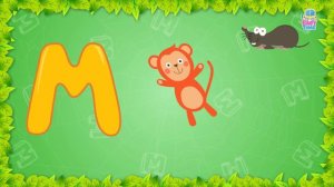 ABC Phonics Zoo Song | Alphabets Animals Song For Children By Baby Time