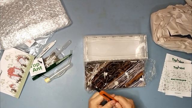 РАСПАКОВКА И ОБЗОР МУРАВЬИНОЙ ФЕРМЫ ЗА 20$ TopAnt ЧЕСТНЫЙ ОТЗЫВ смотреть онлайн