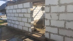 для канала" Свиньи как бизнес"