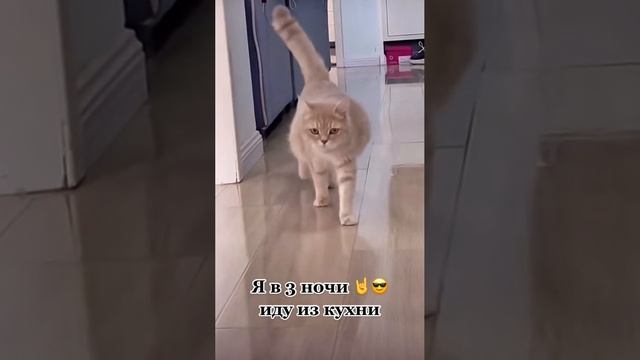я в 3 ночи иду из кухни