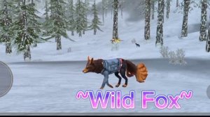 ?Что???? Cat Sim и Dog Sim удалили!!??? Удалят и WildCraft??? #wildcraft