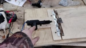 Автоматически открывающийся люк в подвал для кошек