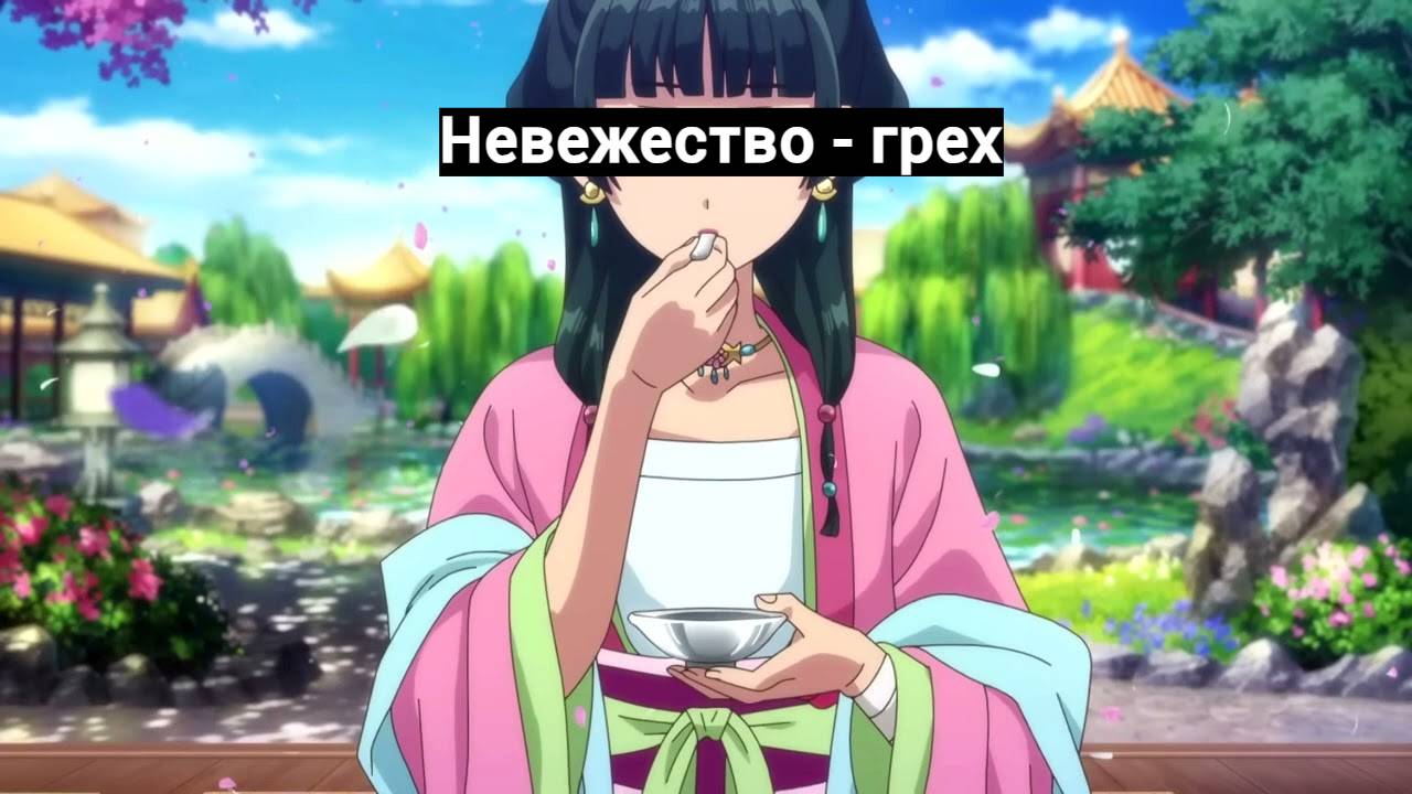 Монолог фармацевта мотивирует учиться  |  Обзор аниме