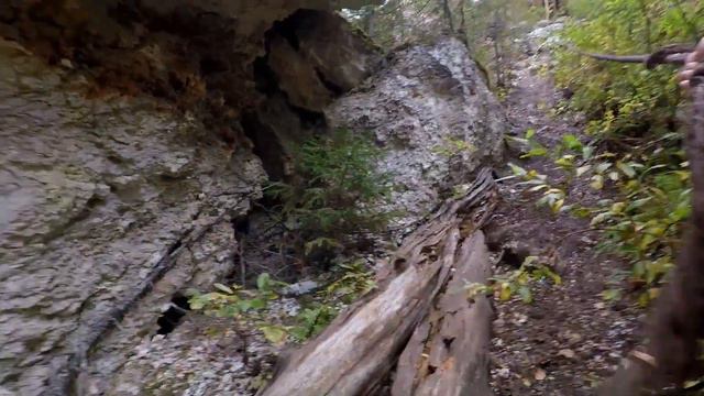 Пинежский заповедник. Ущелье «Тараканий лог» смотреть онлайн