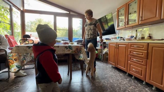 012 - вывезли Ричика на прогулку смотреть онлайн