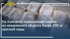 На Камчатке полицейские изъяли из незаконного оборота более 240 кг красной икры