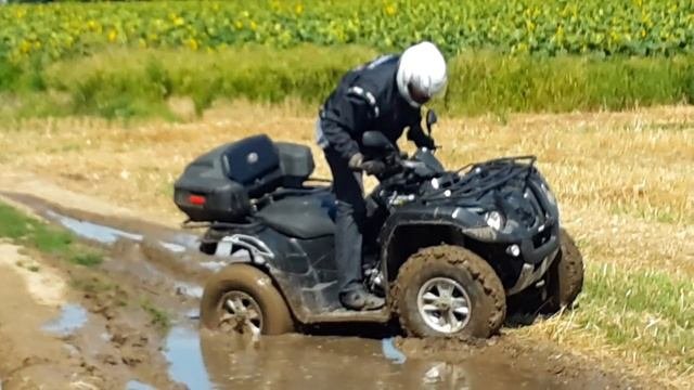 Sym 600 Le Quadraider; In Hungary:road Tyres