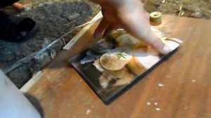 Куры начали нести крупные яйца.