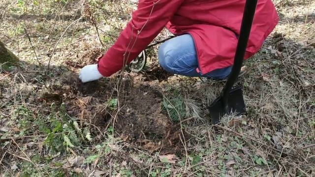 Поиск с металлоискателем  мд 4030р.