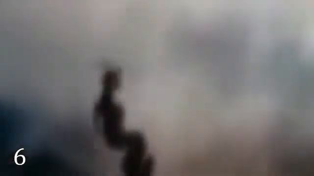 10 ДРАКОНОВ, КОТОРЫХ УДАЛОСЬ СНЯТЬ НА КАМЕРУ смотреть онлайн